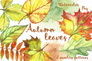 Autumn Leave Illustrations: A Designer’s Perspective on Seasonal Visuals