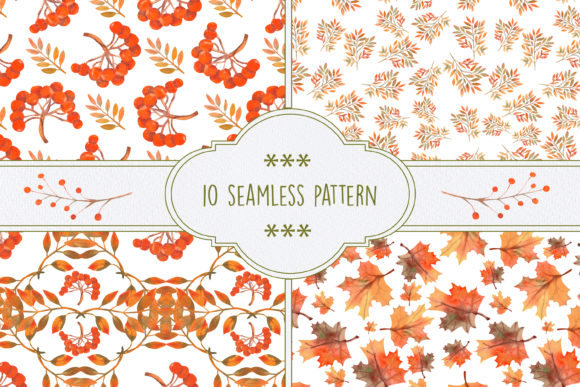 Autumn Mood. Leaves, Berries, Rowan. Illustrations