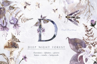 Deep Night Forest Graphic Kit: A Rich Illustration for Branding and Packaging