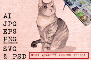 Grey Cat Illustrations