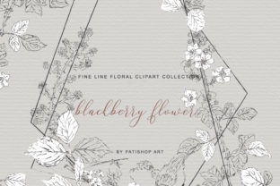 Hand Drawn Fine Line Clipart Blackberry: A Versatile Illustration for Modern Branding
