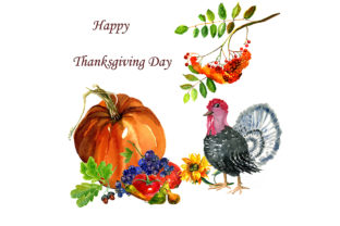 Happy Thanksgiving Day Embroidery Design Review