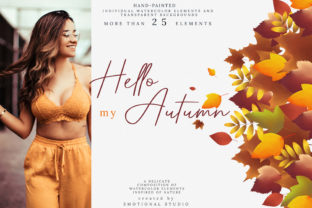 Hello My Autumn Illustrations