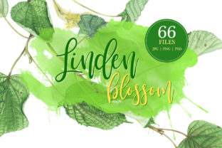 Linden Blossom: A Versatile Illustration for Modern Branding