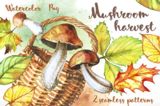 Mushroom Harvest Illustrations: A Seller’s Review for Commercial Use