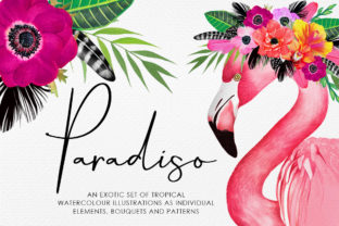 Paradiso Illustrations for Digital Sellers
