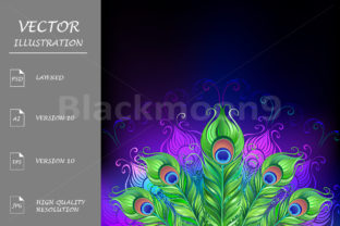 Peacock Tail Illustrations: A Bold Branding Asset for Local Businesses