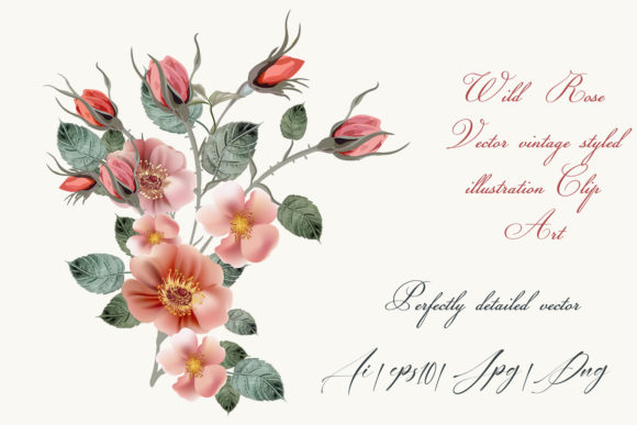 Rose Hip Vector High Detailed Clip Art