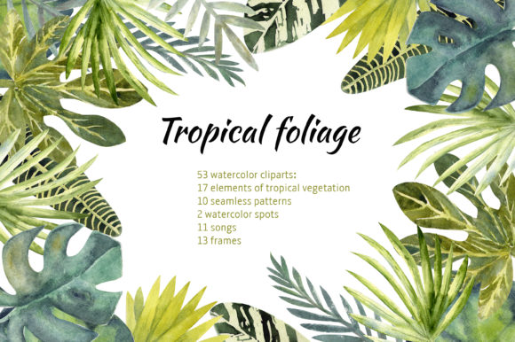 Tropical Leaves Illustrations