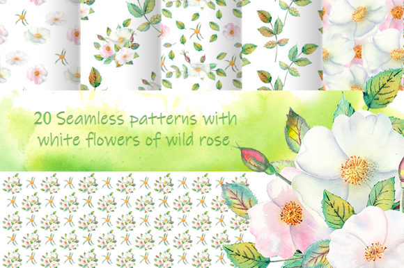 White Flowers of Wild Rose Background Illustrations